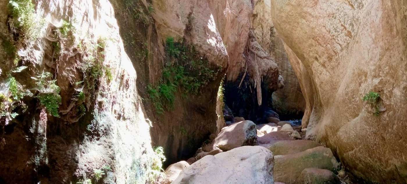AVAKAS GORGE Peyia